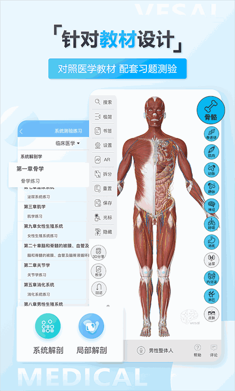 打撲克牌的劇烈運動免費軟件視頻截圖1